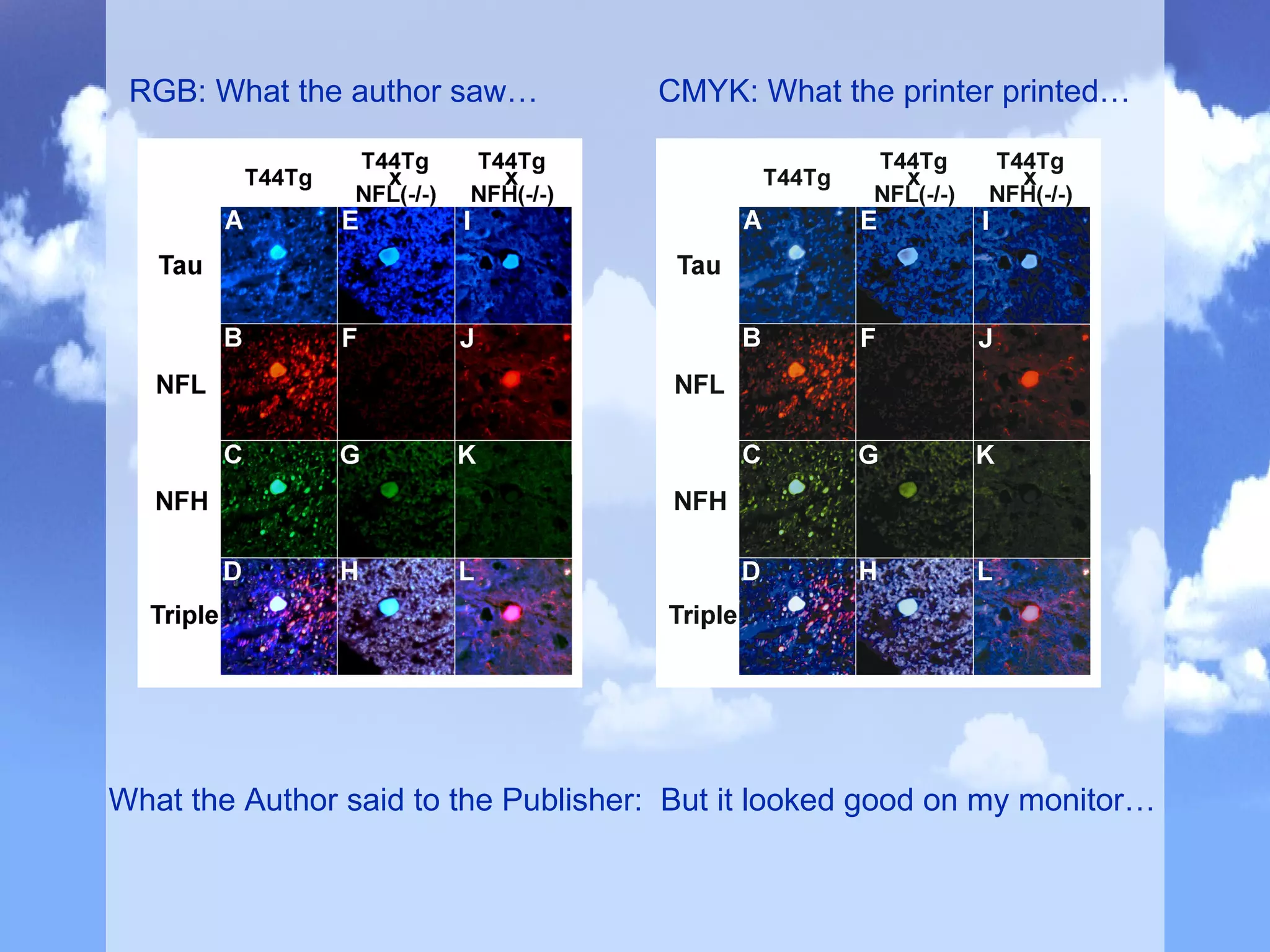 RGB: What the author saw… CMYK: What the printer printed… What the Author said to the Publisher:  But it looked good on my monitor… 