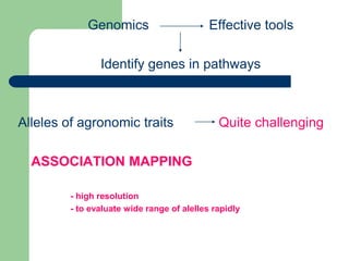Association mapping | PPTX