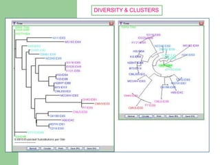 Association mapping | PPTX