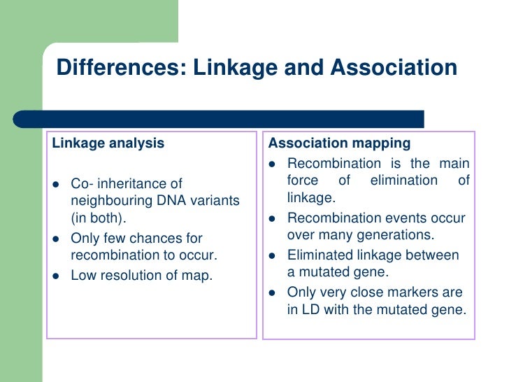Association mapping