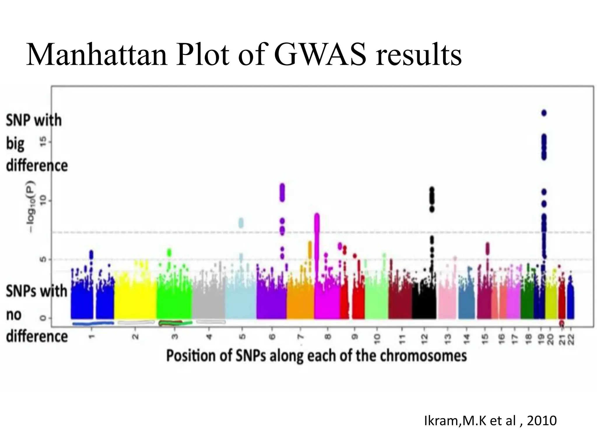 Manhattan Plot of GWAS results
Ikram,M.K et al , 2010
 