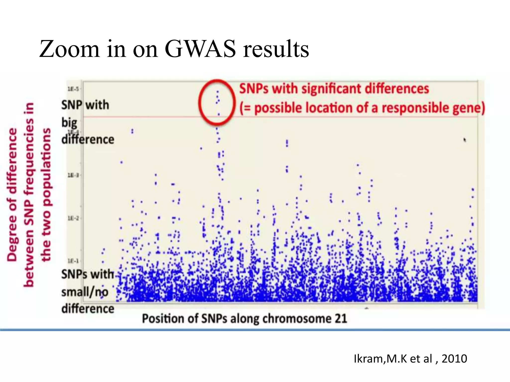 Zoom in on GWAS results
Ikram,M.K et al , 2010
 