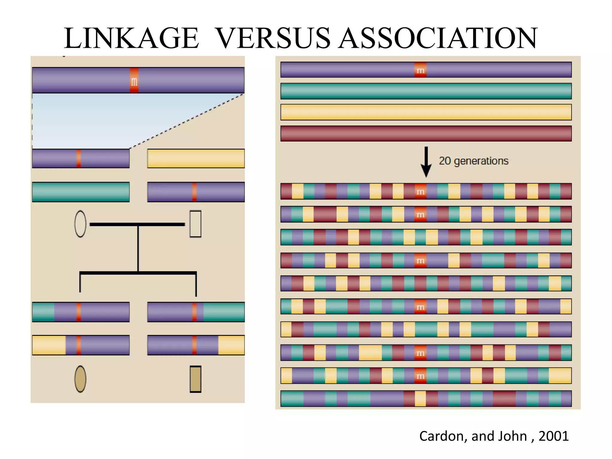 LINKAGE VERSUS ASSOCIATION
Cardon, and John , 2001
 