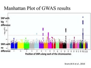 Manhattan Plot of GWAS results
Ikram,M.K et al , 2010
 