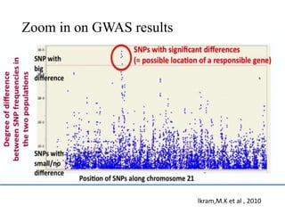 Zoom in on GWAS results
Ikram,M.K et al , 2010
 