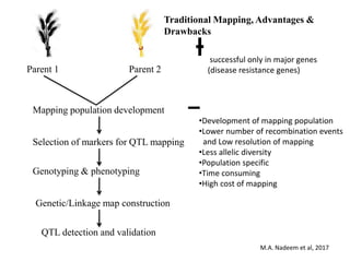 Parent 1 Parent 2
Genetic/Linkage map construction
Mapping population development
Selection of markers for QTL mapping
Genotyping & phenotyping
QTL detection and validation
Traditional Mapping, Advantages &
Drawbacks
successful only in major genes
(disease resistance genes)
•Development of mapping population
•Lower number of recombination events
and Low resolution of mapping
•Less allelic diversity
•Population specific
•Time consuming
•High cost of mapping
M.A. Nadeem et al, 2017
 
