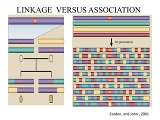 LINKAGE VERSUS ASSOCIATION
Cardon, and John , 2001
 