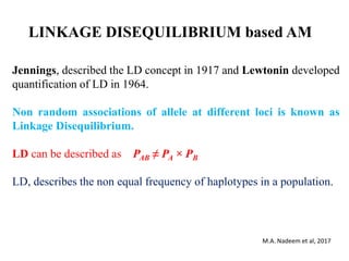 LINKAGE DISEQUILIBRIUM based AM
Jennings, described the LD concept in 1917 and Lewtonin developed
quantification of LD in 1964.
Non random associations of allele at different loci is known as
Linkage Disequilibrium.
LD can be described as PAB ≠ PA × PB
LD, describes the non equal frequency of haplotypes in a population.
M.A. Nadeem et al, 2017
 