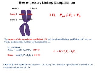 How to measure Linkage Disequilibrium
Allele A Allele B
Locus 1
Locus 2
LD, PAB ≠ PA × PB
The square of the correlation coefficient (r2) and the disequilibrium coefficient (D′) are two
widely used statistical methods for measuring the LD.
D′ = D/Dmax
Dmax = min(PA Pb * PaPB ) if D>O
Dmax = min(PA PB * PaPb ) if D<O
r2 = D2 / PA Pa * PBPb
GOLD, R and TASSEL are the most commonly used software applications to describe the
structure and pattern of LD.
 