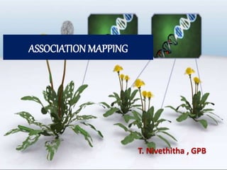 ASSOCIATION MAPPING
T. Nivethitha , GPB
 
