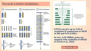 Towards a better resolution..
• GWAS can give up to 1cM of
resolution in comparison to 10cM
in DH and 5cM in RILs
• In rice, 1cM=500kb; genes are
mapped with resolution of 100 kb
(Crowell et al., 2016)
10
Sujan Mamidi, 2020
 