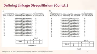 Defining Linkage Disequilibrium (Contd..)
Oraguzie et al., 2007, Association mapping in Plants, Springer publications 12
 