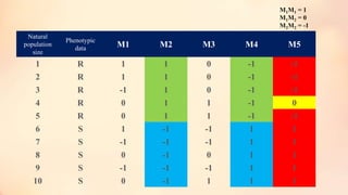 Natural
population
size
Phenotypic
data M1 M2 M3 M4 M5
1 R 1 1 0 -1 -1
2 R 1 1 0 -1 -1
3 R -1 1 0 -1 -1
4 R 0 1 1 -1 0
5 R 0 1 1 -1 -1
6 S 1 -1 -1 1 1
7 S -1 -1 -1 1 1
8 S 0 -1 0 1 1
9 S -1 -1 -1 1 1
10 S 0 -1 1 1 1 16
M1M1 = 1
M1M2 = 0
M2M2 = -1
 