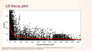 LD Decay plot
Zegeye, Habtemariam; Rasheed, Awais; Makdis, Farid; Badebo, Ayele; C. Ogbonnaya, Francis (2015): Linkage disequilibrium (LD) decay as a function of
genetic distance.. PLOS ONE. Figure. https://doi.org/10.1371/journal.pone.0105593.g003
19
 
