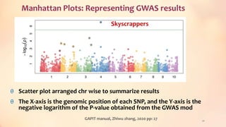 Manhattan Plots: Representing GWAS results
θ Scatter plot arranged chr wise to summarize results
θ The X-axis is the genomic position of each SNP, and the Y-axis is the
negative logarithm of the P-value obtained from the GWAS mod
20
Skyscrappers
GAPIT manual, Zhiwu zhang, 2020 pp: 27
 