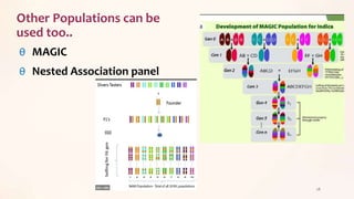 Other Populations can be
used too..
θ MAGIC
θ Nested Association panel
28
 