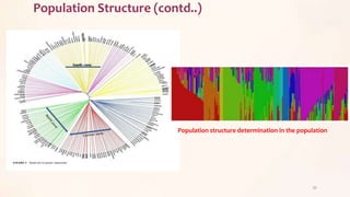 Population Structure (contd..)
32
Population structure determination in the population
 