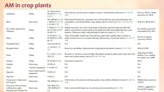 AM in crop plants
46
 
