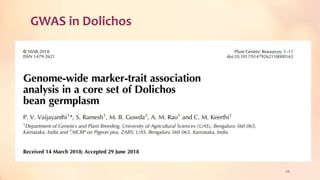 GWAS in Dolichos
49
 