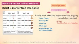 Requirements for indirect selection
Reliable marker trait association
https://www.semanticscholar.org/paper/3-Association-Mapping-in-Plant-Genomes-Soto-Cerda-Cloutier/0ecf0db269a995ebb23e1f2334d7c663bc1376ea
5
How to go about
GENETIC MAPPING
Family based Mapping
• Select Parents
• Develop MP
• Genotype
• Phenotype
• Computations and
QTL identification
Population based mapping
(Association Mapping)
• GWAS
• Candidate Gene based mapping
 