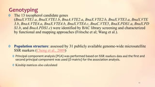 Genotyping
θ The 13 tocopherol candidate genes
(BnaX.VTE1.a, BnaX.VTE1.b, BnaA.VTE2.a, BnaX.VTE2.b, BnaX.VTE3.a, BnaX.VTE
3.b, BnaA.VTE4.a, BnaX.VTE4.b, BnaX.VTE4.c, BnaC.VTE5, BnaX.PDS1.a, BnaX.PD
S1.b, and BnaA.PDS1.c) were identified by BAC library screening and characterized
by functional and mapping approaches (Fritsche et al; Wang et al.).
θ Population structure: assessed by 31 publicly available genome-wide microsatellite
SSR markers (Cheng et al., 2009)
θ Principal component analysis (PCA) was performed based on SSR markers data and the first and
second principal component was used (D matrix) for the association analysis.
θ Kinship matrices also calculated
61
 