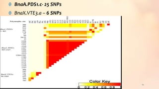 θ BnaA.PDS1.c- 25 SNPs
θ BnaX.VTE3.a – 6 SNPs
64
 