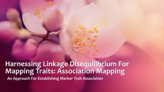 Harnessing Linkage Disequilibrium For
Mapping Traits: Association Mapping
An Approach For Establishing Marker Trait Association
 