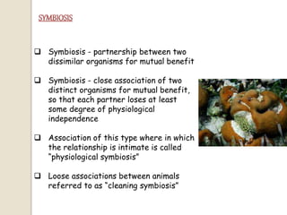  Symbiosis - partnership between two
dissimilar organisms for mutual benefit
 Symbiosis - close association of two
distinct organisms for mutual benefit,
so that each partner loses at least
some degree of physiological
independence
 Association of this type where in which
the relationship is intimate is called
“physiological symbiosis”
 Loose associations between animals
referred to as “cleaning symbiosis”
 