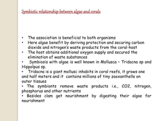 • The association is beneficial to both organisms
• Here algae benefit by deriving protection and securing carbon
dioxide and nitrogen’s waste products from the coral-host
• The host obtains additional oxygen supply and secured the
elimination of waste substances
• Symbiosis with algae is well known in Mollusca – Tridacna sp and
Hippolpus sp.
• Tridacna is a giant mollusc inhabits in coral reefs, it grows one
and half meters and it contains millions of tiny zooxanthelle on
outer tissues
• The symbionts remove waste products i.e., CO2, nitrogen,
phosphorus and other nutrients
• Besides clam get nourishment by digesting their algae for
nourishment
 