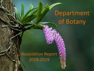 Department
of Botany
Association Report
2018-2019
 