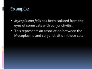 Example
 Mycoplasma felis has been isolated from the
eyes of some cats with conjunctivitis.
 This represents an association between the
Mycoplasma and conjunctivitis in these cats
 