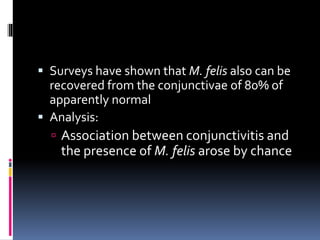  Surveys have shown that M. felis also can be
recovered from the conjunctivae of 80% of
apparently normal
 Analysis:
 Association between conjunctivitis and
the presence of M. felis arose by chance
 