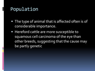 Population
 The type of animal that is affected often is of
considerable importance.
 Hereford cattle are more susceptible to
squamous cell carcinoma of the eye than
other breeds, suggesting that the cause may
be partly genetic
 