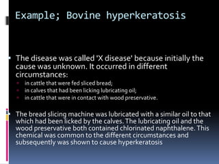 Example; Bovine hyperkeratosis
 The disease was called 'X disease' because initially the
cause was unknown. It occurred in different
circumstances:
 in cattle that were fed sliced bread;
 in calves that had been licking lubricating oil;
 in cattle that were in contact with wood preservative.
 The bread slicing machine was lubricated with a similar oil to that
which had been licked by the calves.The lubricating oil and the
wood preservative both contained chlorinated naphthalene.This
chemical was common to the different circumstances and
subsequently was shown to cause hyperkeratosis
 