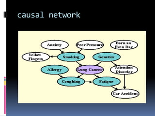 causal network
 