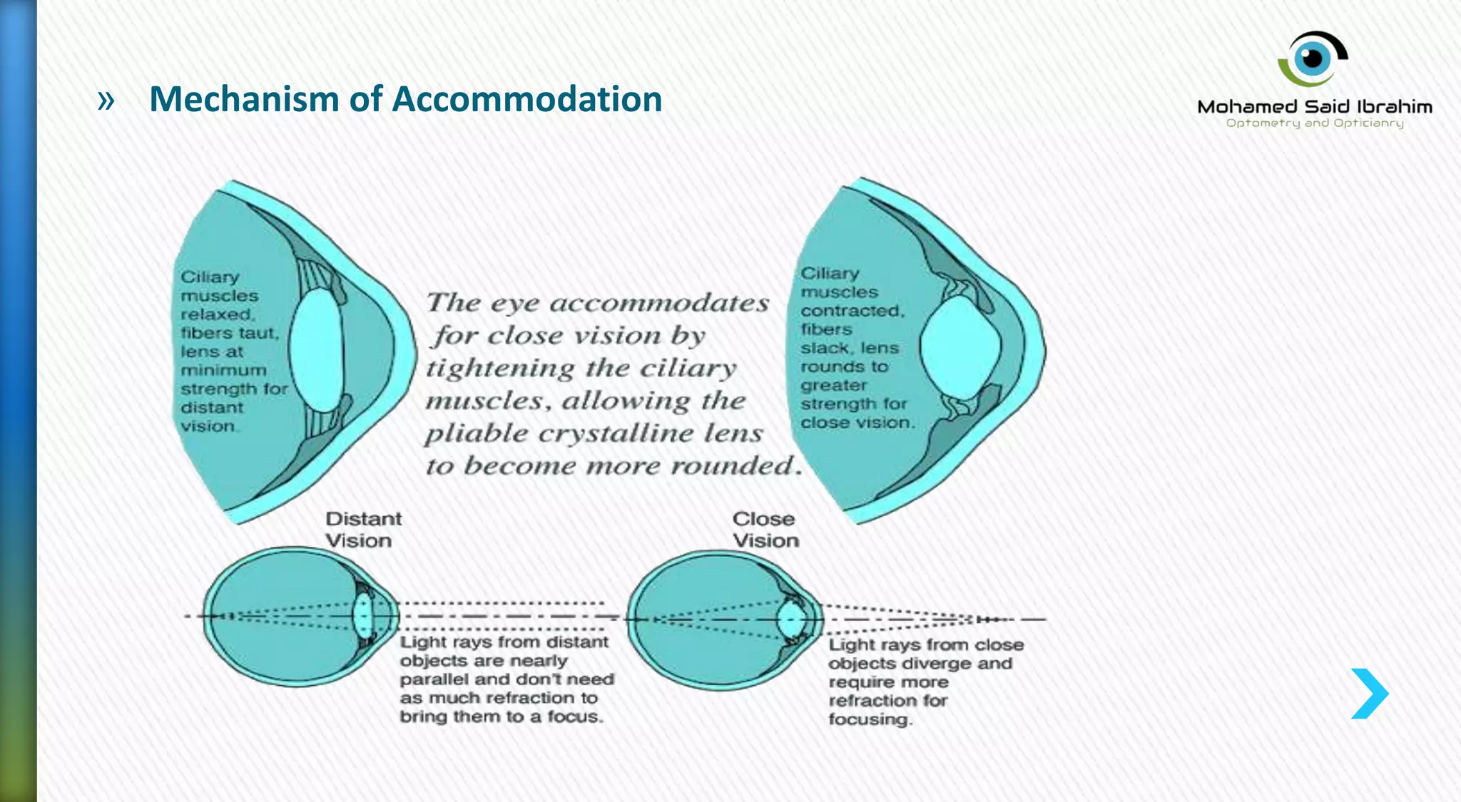 » Mechanism of Accommodation
 