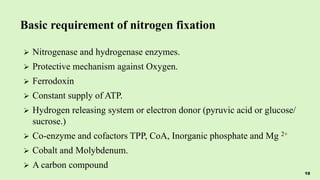 Basic requirement of nitrogen fixation
 Nitrogenase and hydrogenase enzymes.
 Protective mechanism against Oxygen.
 Ferrodoxin
 Constant supply of ATP.
 Hydrogen releasing system or electron donor (pyruvic acid or glucose/
sucrose.)
 Co-enzyme and cofactors TPP, CoA, Inorganic phosphate and Mg 2+
 Cobalt and Molybdenum.
 A carbon compound
10
 