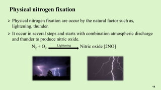 Physical nitrogen fixation
 Physical nitrogen fixation are occur by the natural factor such as,
lightening, thunder.
 It occur in several steps and starts with combination atmospheric discharge
and thunder to produce nitric oxide.
N2 + O2
Lightening Nitric oxide [2NO]
12
 