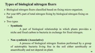 Types of biological nitrogen fixers
 Biological nitrogen fixers classified based on fixing micro-organism.
 Per year 60% part of total nitrogen fixing by biological nitrogen fixing on
Earth
 Two types
• Symbiotic
A part of biological relationship in which plants provides a
niche and fixed carbon to bacteria in exchange for fixed nitrogen.
• Non symbiotic (Associative)
A process of biological nitrogen fixation performed by a group
of autotrophic bacteria living free in the soil either aerobically or
anaerobically and not depend on plant. 16
 