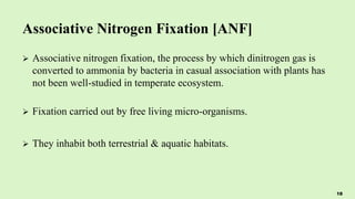 Associative Nitrogen Fixation [ANF]
 Associative nitrogen fixation, the process by which dinitrogen gas is
converted to ammonia by bacteria in casual association with plants has
not been well-studied in temperate ecosystem.
 Fixation carried out by free living micro-organisms.
 They inhabit both terrestrial & aquatic habitats.
18
 
