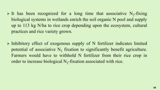  It has been recognized for a long time that associative N2-fixing
biological systems in wetlands enrich the soil organic N pool and supply
up to 113 kg N/ha to rice crop depending upon the ecosystem, cultural
practices and rice variety grown.
 Inhibitory effect of exogenous supply of N fertilizer indicates limited
potential of associative N2 fixation to significantly benefit agriculture.
Farmers would have to withhold N fertilizer from their rice crop in
order to increase biological N2-fixation associated with rice.
22
 