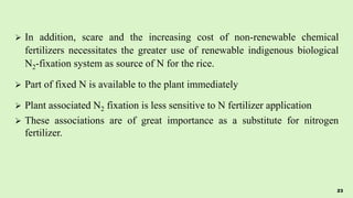  In addition, scare and the increasing cost of non-renewable chemical
fertilizers necessitates the greater use of renewable indigenous biological
N2-fixation system as source of N for the rice.
 Part of fixed N is available to the plant immediately
 Plant associated N2 fixation is less sensitive to N fertilizer application
 These associations are of great importance as a substitute for nitrogen
fertilizer.
23
 