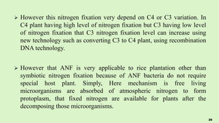  However this nitrogen fixation very depend on C4 or C3 variation. In
C4 plant having high level of nitrogen fixation but C3 having low level
of nitrogen fixation that C3 nitrogen fixation level can increase using
new technology such as converting C3 to C4 plant, using recombination
DNA technology.
 However that ANF is very applicable to rice plantation other than
symbiotic nitrogen fixation because of ANF bacteria do not require
special host plant. Simply, Here mechanism is free living
microorganisms are absorbed of atmospheric nitrogen to form
protoplasm, that fixed nitrogen are available for plants after the
decomposing those microorganisms.
26
 