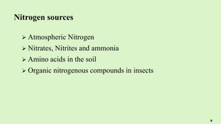 Nitrogen sources
 Atmospheric Nitrogen
 Nitrates, Nitrites and ammonia
 Amino acids in the soil
 Organic nitrogenous compounds in insects
5
 