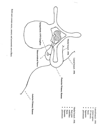 Assorted handouts #2