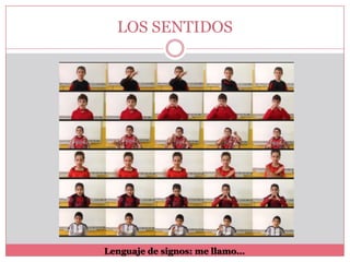 LOS SENTIDOS

Lenguaje de signos: me llamo…

 