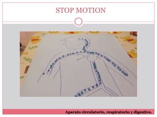 STOP MOTION

Aparato circulatorio, respiratorio y digestivo.

 