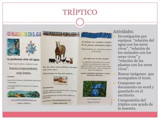 TRÍPTICO
Actividades:
 Investigación por
equipos: “relación del
agua con los seres
vivos”, “relación de
los animales con los
seres vivos” y
“relación de las
plantas con los seres
vivos”.
 Buscar imágenes que
acompañen el texto.
 Componer un
documento en word y
guardarlo en el
escritorio.
 Composición del
tríptico con ayuda de
la maestra.

 