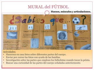 MURAL del FÚTBOL
Huesos, músculos y articulaciones.

Actividades:
• Hacernos en casa fotos sobre diferentes partes del cuerpo.
• Enviar por correo las fotos con ayuda de las familias.
• Investigación sobre las partes que emplean los futbolistas cuando tocan la pelota.
• Buscar una curiosidad de las partes del cuerpo señaladas anteriormente.

 