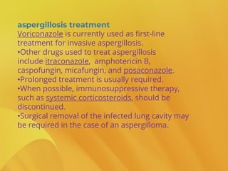 aspergillosis treatment
Voriconazole is currently used as first-line
treatment for invasive aspergillosis.
•Other drugs used to treat aspergillosis
include itraconazole, amphotericin B,
caspofungin, micafungin, and posaconazole.
•Prolonged treatment is usually required.
•When possible, immunosuppressive therapy,
such as systemic corticosteroids, should be
discontinued.
•Surgical removal of the infected lung cavity may
be required in the case of an aspergilloma.
 